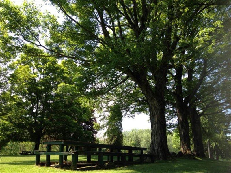 lawn_2