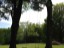 swings_2