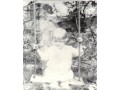Winnie - age 3